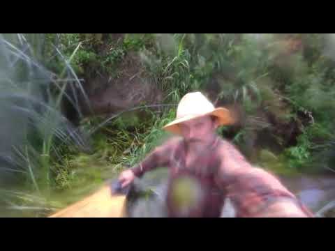 River Stour by Kayak - Part 1 - Clare Country Park to Cavendish