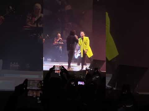 Funambulista, David Otero, Despistaos