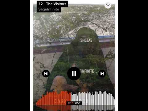 Sage infinite- The Visitors