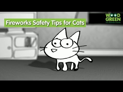 Keep Cats Safe and Sound