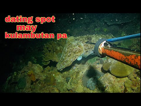 ep493 dating spot may kulambutan pa night spearfishing Philippines