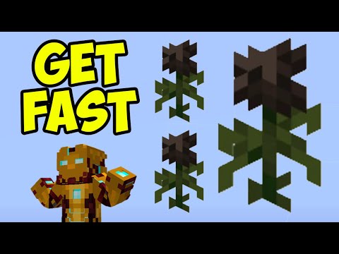 Minecraft 1.20.1 How to get WITHER ROSE (EASY) (3 WAYS)