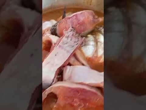 SEGUNDA-FEIRA DO RELAXO! 🐟🧀 Matrinchã com Queijo e Piscina no Tião Lambão #shorts