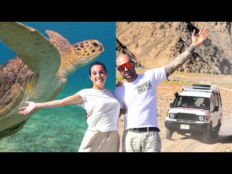 7 DAYS ON THE RED SEA IN MARSA ALAM - A one-week itinerary on the Red Sea