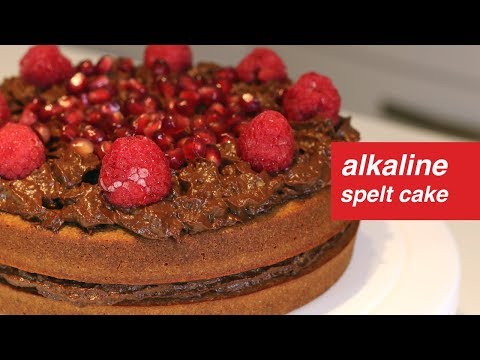 download lagu mp3 mp4 Spelt Vanilla Cake, download lagu Spelt Vanilla Cake gratis, unduh video klip Spelt Vanilla Cake