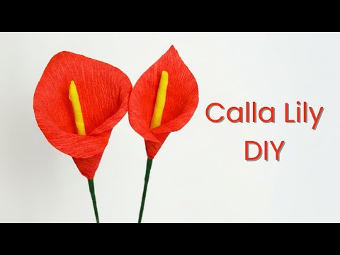 How To Make Calla Lily Paper Flower From Crepe Paper