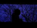 Jean Leloup Passe Ton Chemin Vidéoclip Officiel