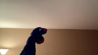 Grover sings “I Stand Up Straight And Tall”