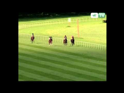 31.08.2008 (D20;G4;tor: 3,2; 22°C)