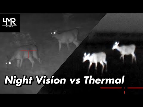 Night Vision vs Thermal | ATN