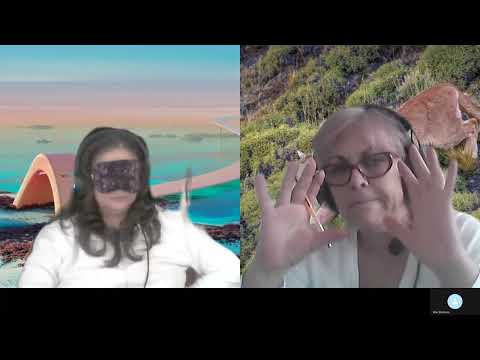 HIPNOZA REGRESIVA.RO-1631.Corneliu,Portalul interdim.,Viata dupa Moarte.E.LASCU coord si ELA tel.