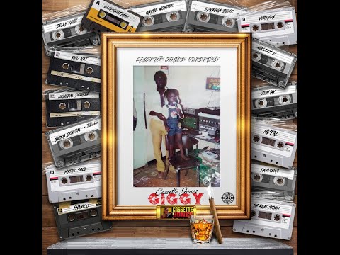 Giggy Riddim Mix (2022) Delly Ranx,Elephant Man,Shane O,Spragga Benz,Red Rat,Wayne Wonder,Vershon