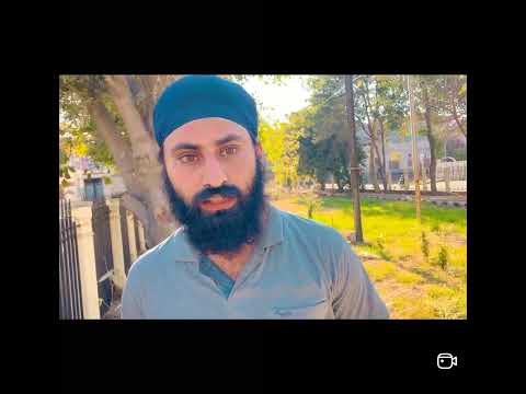 Rescue paraylized puppy amritsar