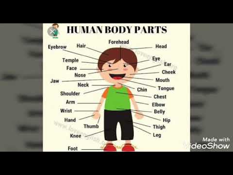 Class Playway | Parts of Body