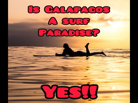 Is Galapagos Islands A Surf Paradise?      (Part6)
