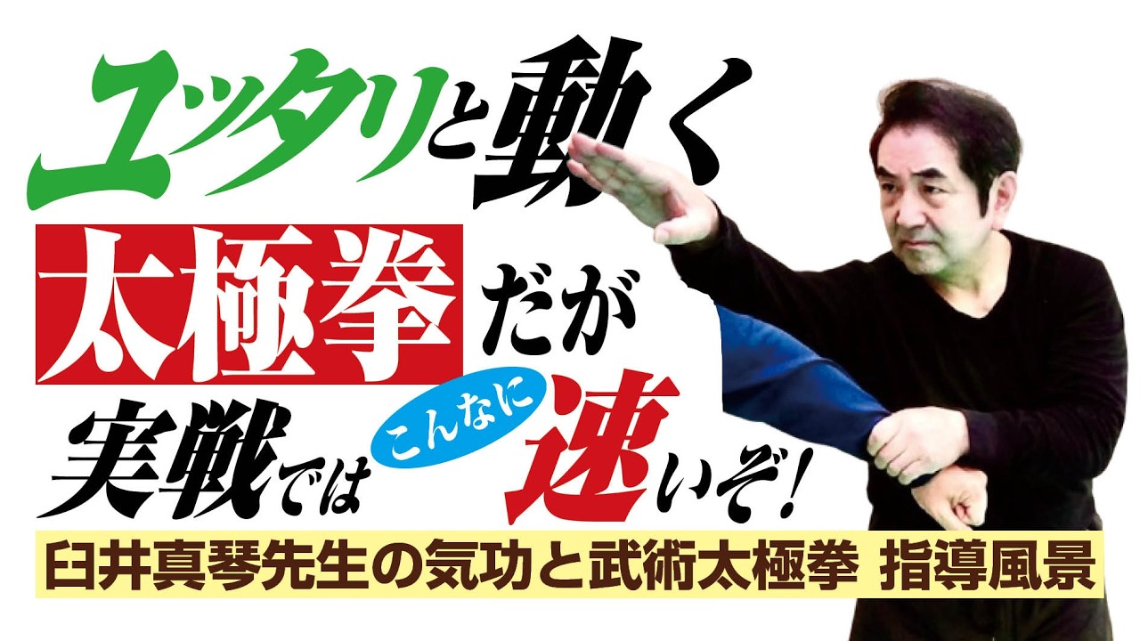 ユッタリと動く太極拳だが実戦ではこんなに速いぞ！　臼井真琴先生の気功と武術太極拳 指導風景