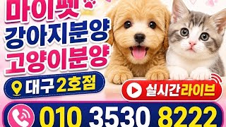 유튜브 썸네일