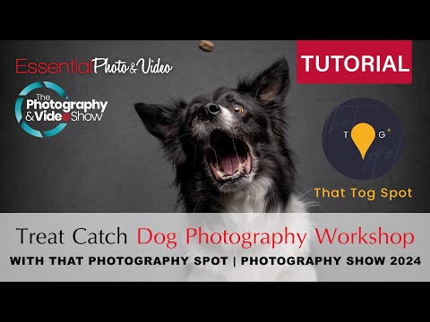 That Photography Spot - Treat Catch Dog Photography | Photography Show 2024