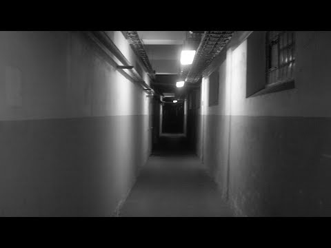 Rabbitmusic - rabbit - L O S T