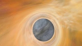 Birth of a Black Hole