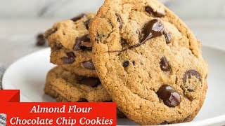 almond meal cookies with chocolate chips and coconut