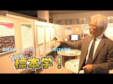 言語文化学科 【THE 標本学！】キャンパスフェスタin静岡 2017 - 静岡大学