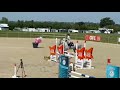 À vendre poney de sport