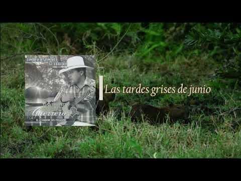 Jorge Guerrero - Las Tardes Grises de Junio (Audio Oficial)