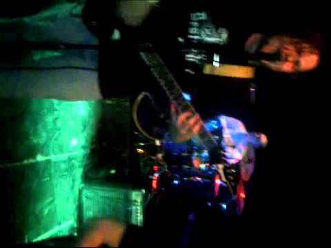 Blucore - Hail Ostrich