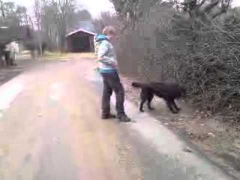 Fat samir gets pwned.MP4