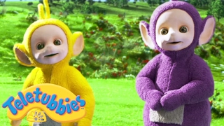 Teletubbies New Series  Hiding  Cartoons for Child