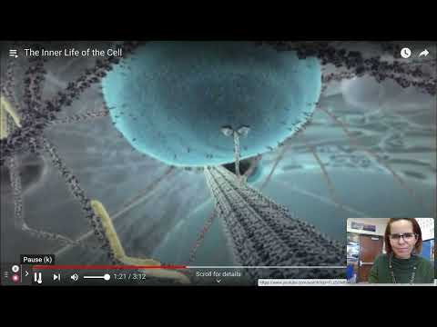 Inner Life of a Cell Commentary (Basic)