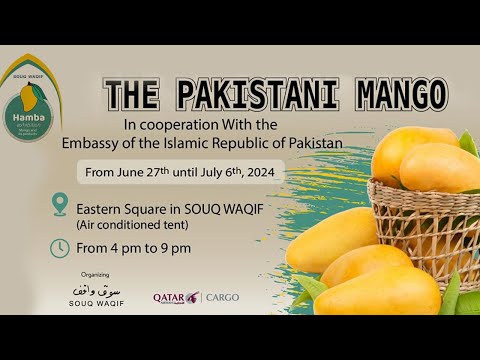 Pakistani mangos Festival First Time In Qatar By Bubble Kitchen