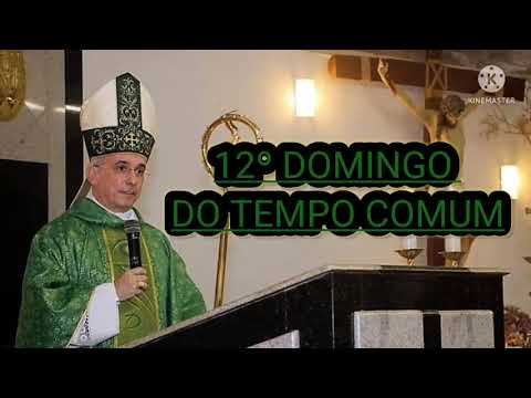 12º DOMINGO DO TEMPO COMUM, C - Dom Henrique Soares