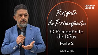 Resgate do Primogênito | Aula 10 - O Primogênito de Deus - Parte 2 | DESAFIO 365 | #46