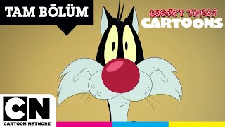 SEVİMLİ KAHRAMANLAR HİKÂYELER | Daffucino | TAM BÖLÜM | @cartoonnetworkturkiye