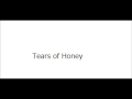 Luminous Orangeの「Tears Of Honey」を弾いてみた。(静止画、ギターとドラムのみ)