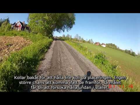 Fjugestaloppet 2015 - 5 km (Löparperspektiv, kort)