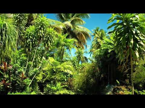 [FREE] Lil Mosey x Lil Tecca x Tropical Type Beat 2023 - "Easy Slide"