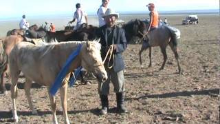 uvs aimag ayalal 12
