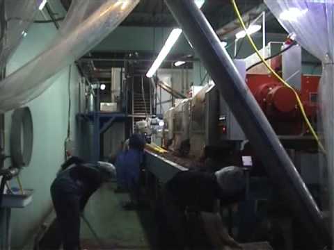 download lagu mp3 mp4 Bc Cordials, download lagu Bc Cordials gratis, unduh video klip Bc Cordials