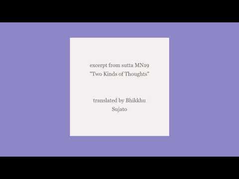 MN19 "Two Kinds of Thoughts" (excerpt)
