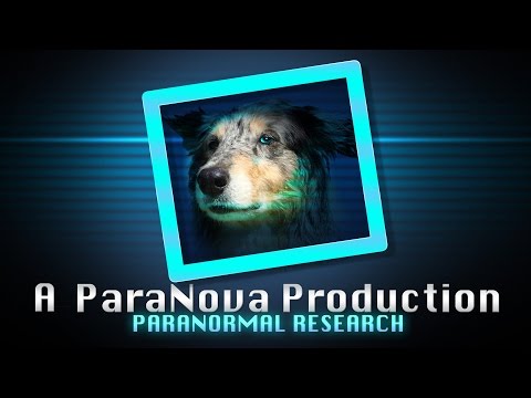 Paranova S02E03 Paranormal Undersökning Gammel Tammen