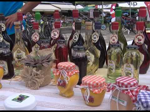 Dani borovnice na Kopaoniku