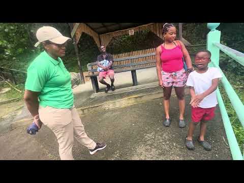 Drive-through volcano 😮 #volcano #caribbean #stlucia