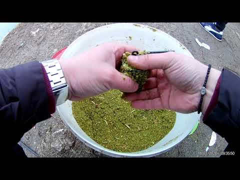 Pescuit la feeder pe canalul cu apa calda Cernavoda  18.01.2020