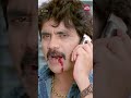 ఆ కడపోడు నేనే Ragada Interval Bang Nagarjuna Anushka Sun NXT Telugu