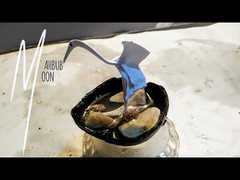 হাস থেকে বক পাখি!