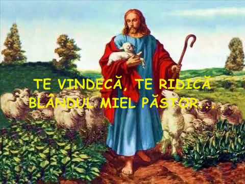 negativ isaura dinca dragostea e cea mai mare