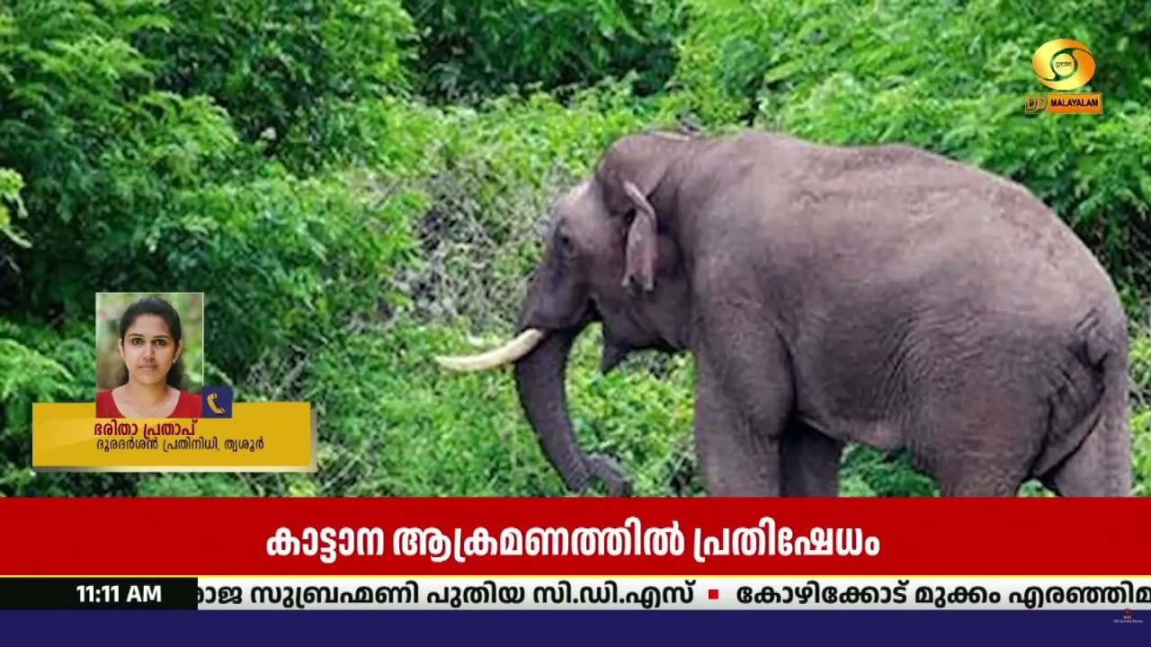 കാട്ടാന ആക്രമണത്തിൽ ഗൃഹനാഥൻ കൊല്ലപ്പെട്ട സംഭവം;  പ്?